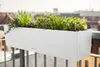 Lechuza Samozavlažovací truhlík Balconera Stone 80 cm, bílá Náhled obrázku produktu 8