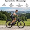 E-Bike Cityrad V1 26 Zoll Tiefeinsteiger, 522 Wh Akku, 45 Produktbild-Vorschau 3