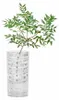 Nachtmann Ethno Vase, Vase mit runder Form, Glas, Produktbild-Vorschau 12