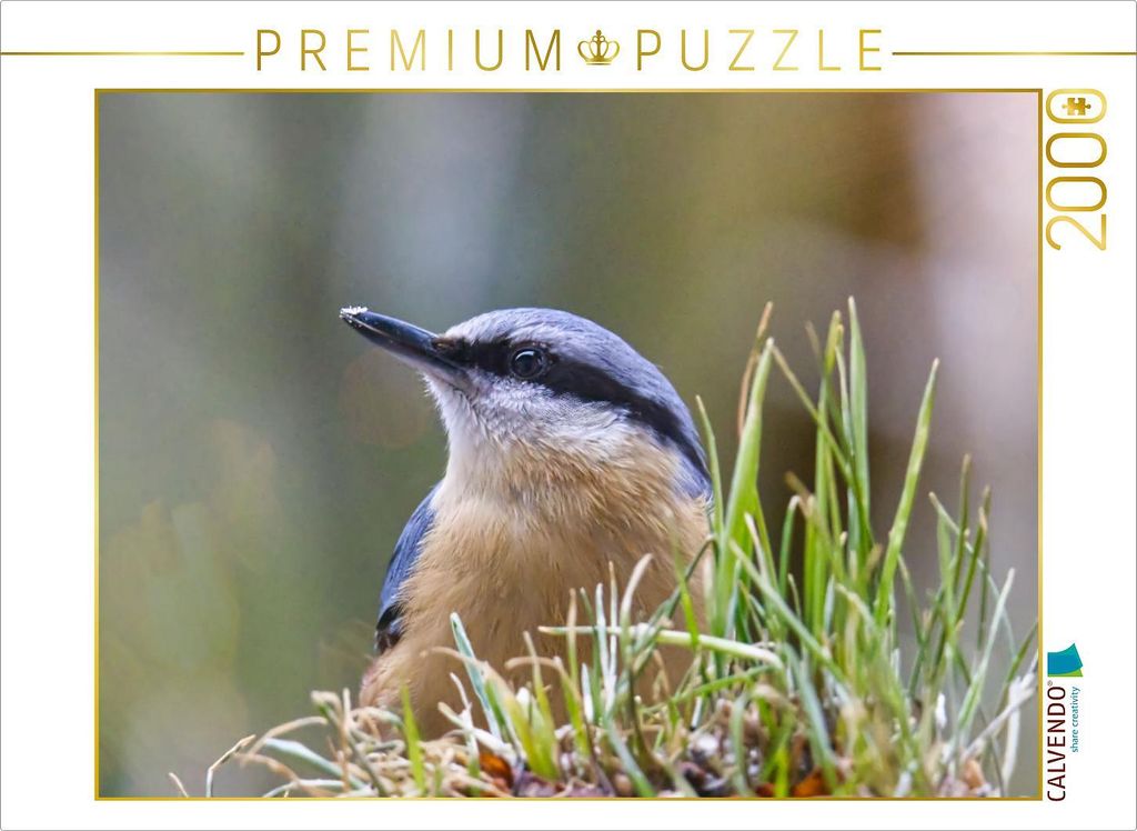 CALVENDO Puzzle Aufmerksamer Kleiber | 2000 Teile Lege-Größe 90x67cm Foto-Puzzle für glückliche Stunden