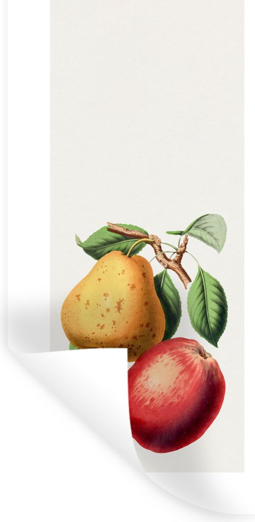 MuchoWow Wandtattoo Wandsticker Wandaufkleber Birne - Apfel - Lebensmittel 40x80 cm Selbstklebend und Repositionierbar - Repositionierbar - Wasse...