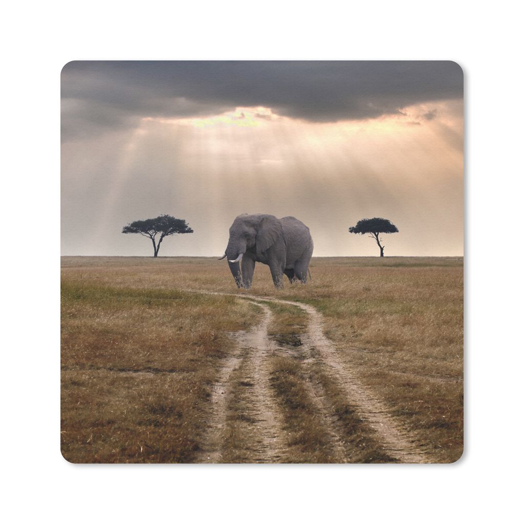 MuchoWow Mauspad Mousepad Elefant - Tiere - Wiese - Sonne 20x20 cm - Mousepads - Maus Mat - Pad - Mausunterlage - Desk Mat - Bureauartikeln