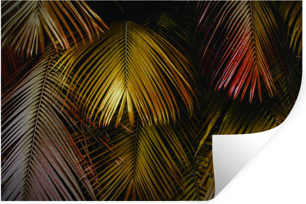 MuchoWow Wandtattoo Wandsticker Wandaufkleber Dschungel - Blätter - Gold 60x40 cm Selbstklebend und Repositionierbar - Wierderverwendbar - Selbs...