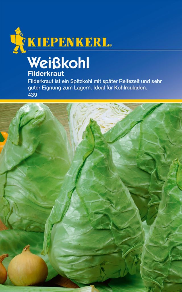 Weißkohl Filderkraut, Spitzkohl mit später Reifezeit, sehr lagerfähig, für Kohlrouladen & Sauerkraut