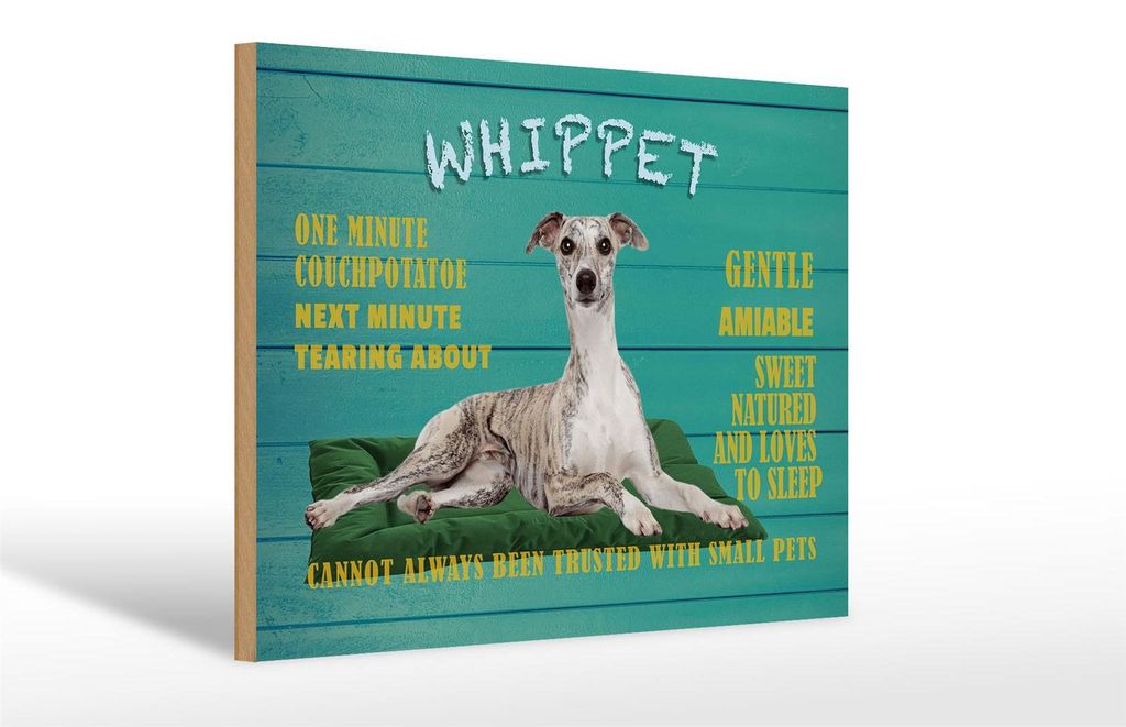 Holzschild Spruch 30x20cm Whippet Hund gentle amiable