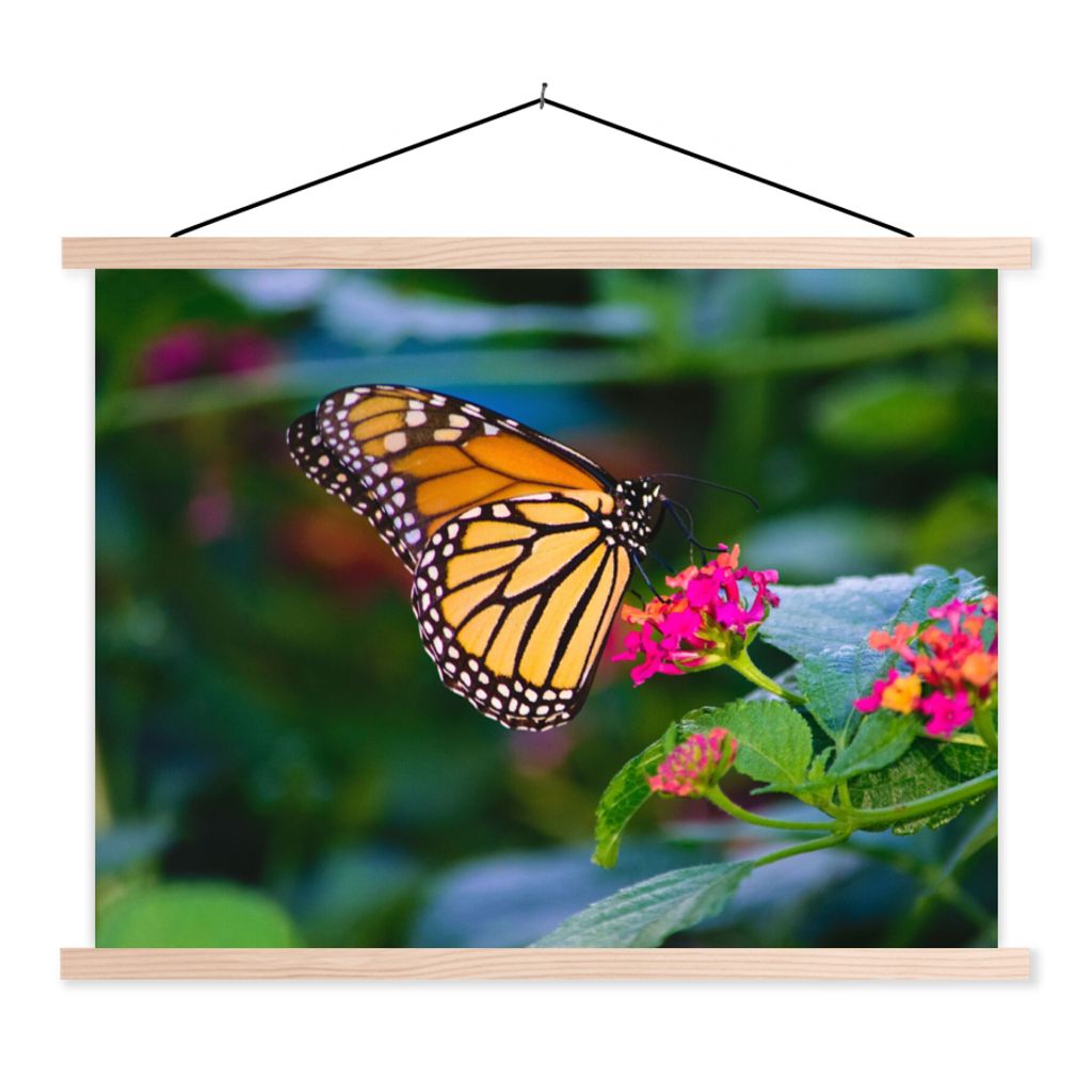 MuchoWow Textilposter Schmetterlinge - Blume - Natur 60x45 cm mit holzfarbenen Rahmen - Bild