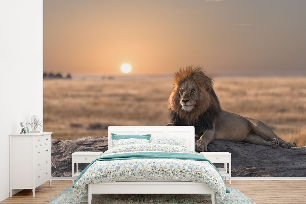 MuchoWow Fototapete für Wohnzimmer oder Schlafzimmer Wandtapete Vinyl Motivtapete Löwe - Sonne - Afrika - 525x350 cm - Das Hintergrundbild