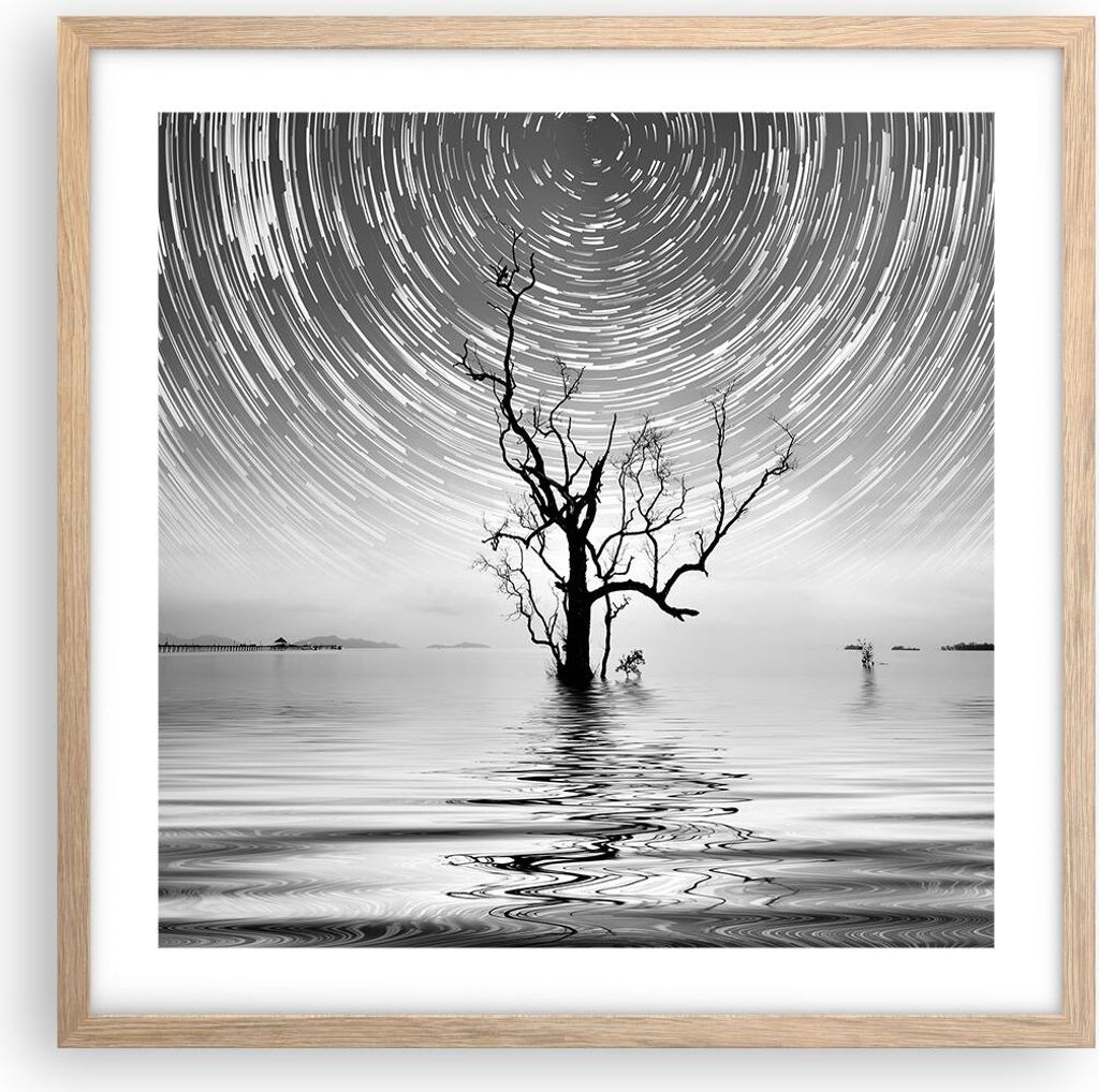 Gerahmtes Poster - Rahmen in heller Eiche - Schwarzweiß Baum See - 50x50 cm - Wand Bild - Wanddeko - Wandbilder - Wandposter - Bilderrahmen - Bild...