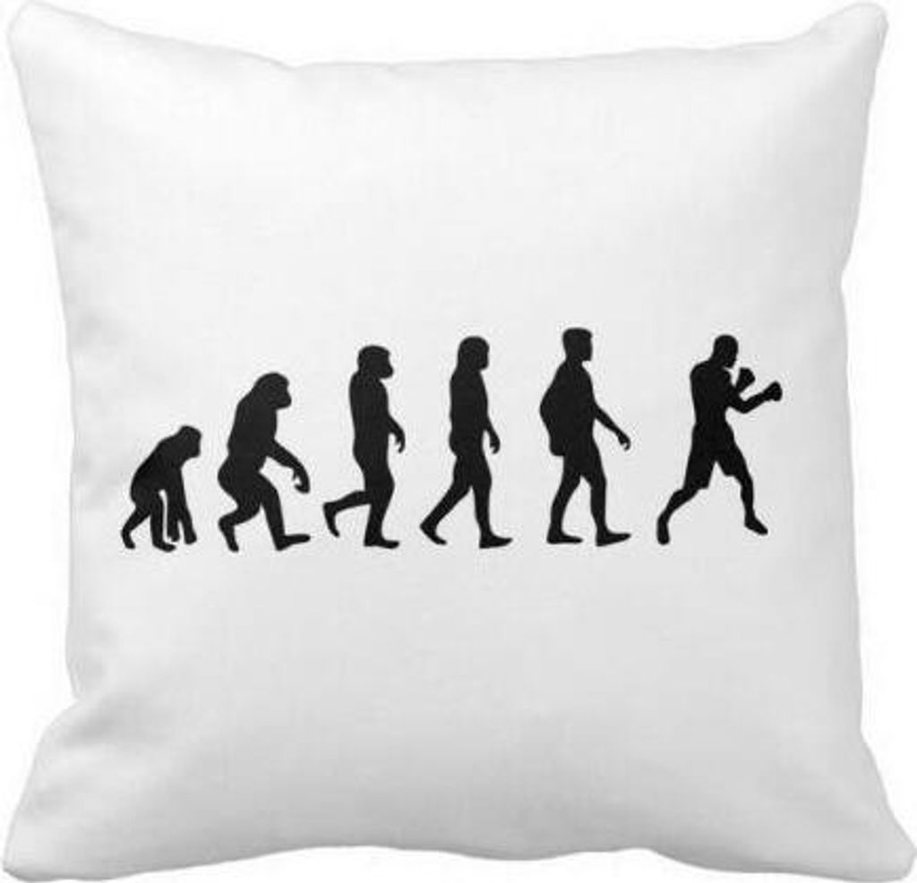 Kissen Evolution Boxing