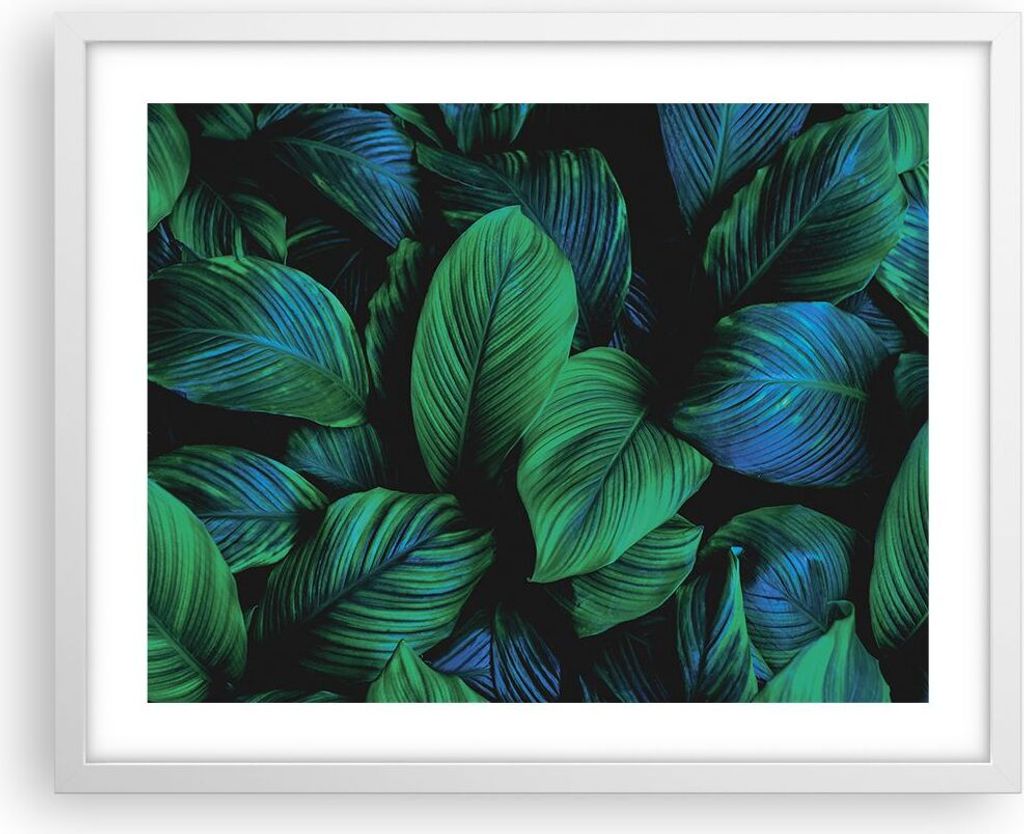Gerahmtes Poster - Weißer Rahmen - Blätter Pflanzen Exotik - 50x40 cm - Wand Bild - Wanddeko - Wandbilder - Kunstposter - Wandposter - Bilderrahm...