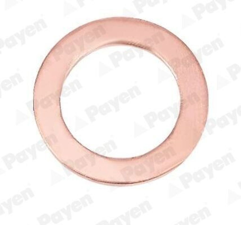 PAYEN Dichtring KG5095 1mm Kupfer 12,2mm 18mm