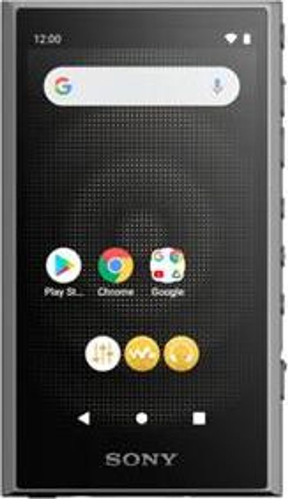 SONY WALKMAN ブラック 32GB NW-A306 BC ソニー SONY ウォークマン WALKMAN Aシリーズ ブラック[32GB