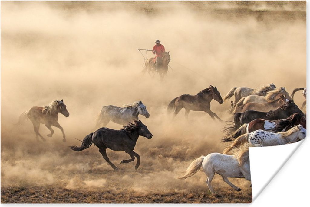 MuchoWow Poster Galoppierende mongolische Pferde in der Mongolei 30x20 cm - Plakate - Print