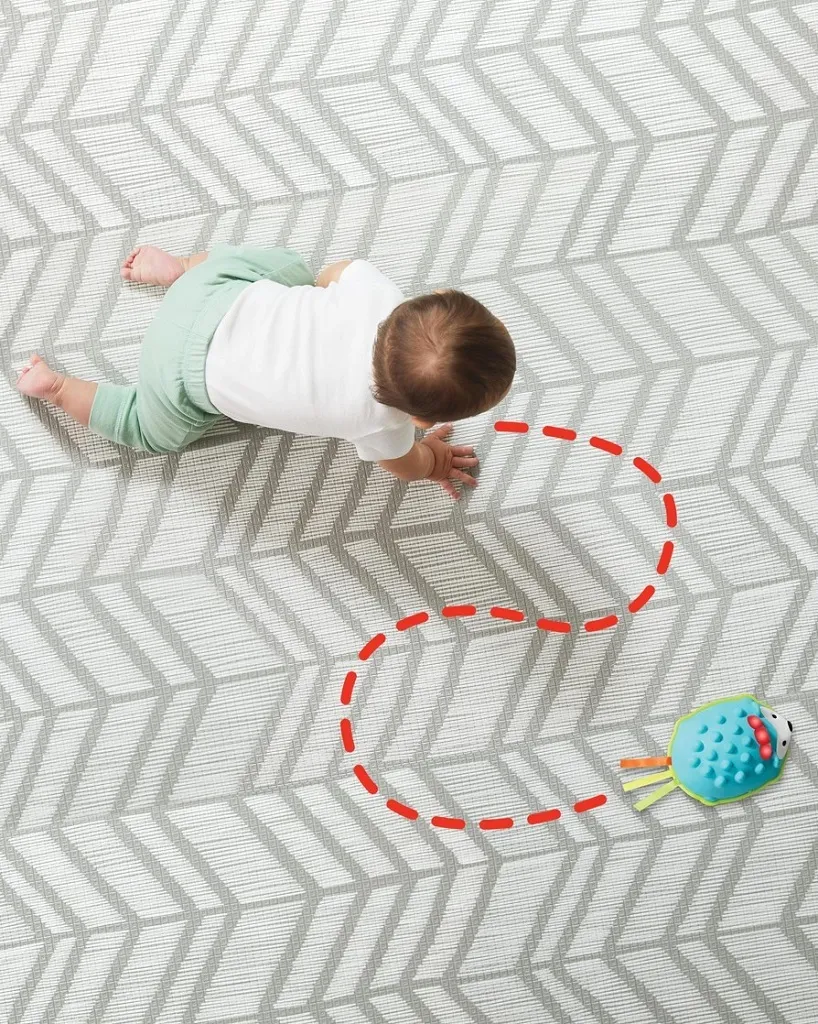 Hérisson interactif Skip Hop Explore & More avec capteur anti-obstacle - 6