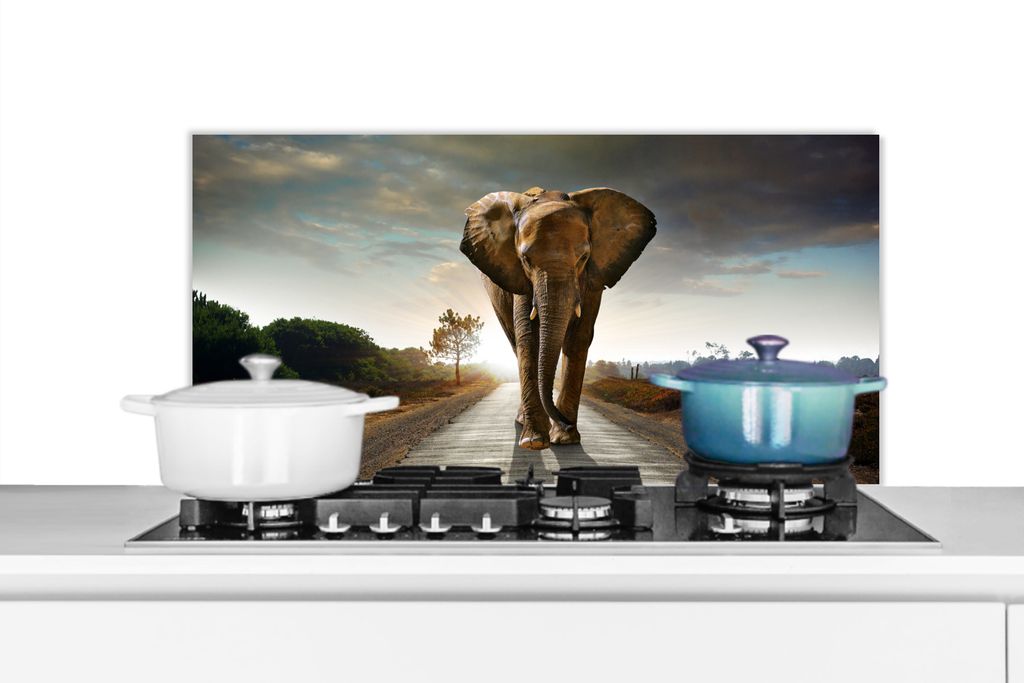KitchenYeah Spritzschutz Küche - Küchenrückwand - Wandschutz für Herd und Spüle - Elefant - Straße - Tiere - Sonnenuntergang - Landschaft 9...