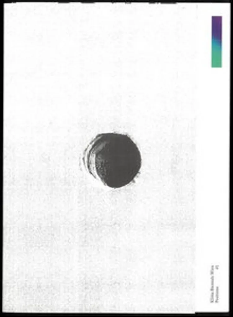Livre d'Art de Luxe Adrian Villár Rojas : The End of Imagination Relié