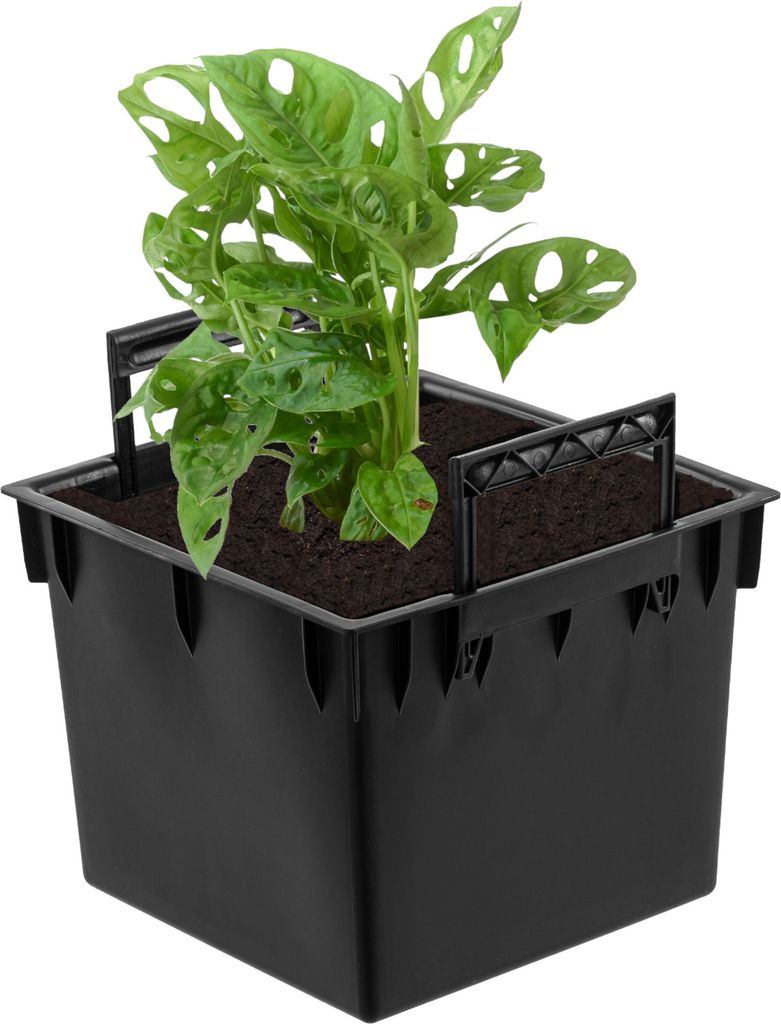 Plantztopf-Einsatz 24x24cm 11L schwarz fr Prosperplast