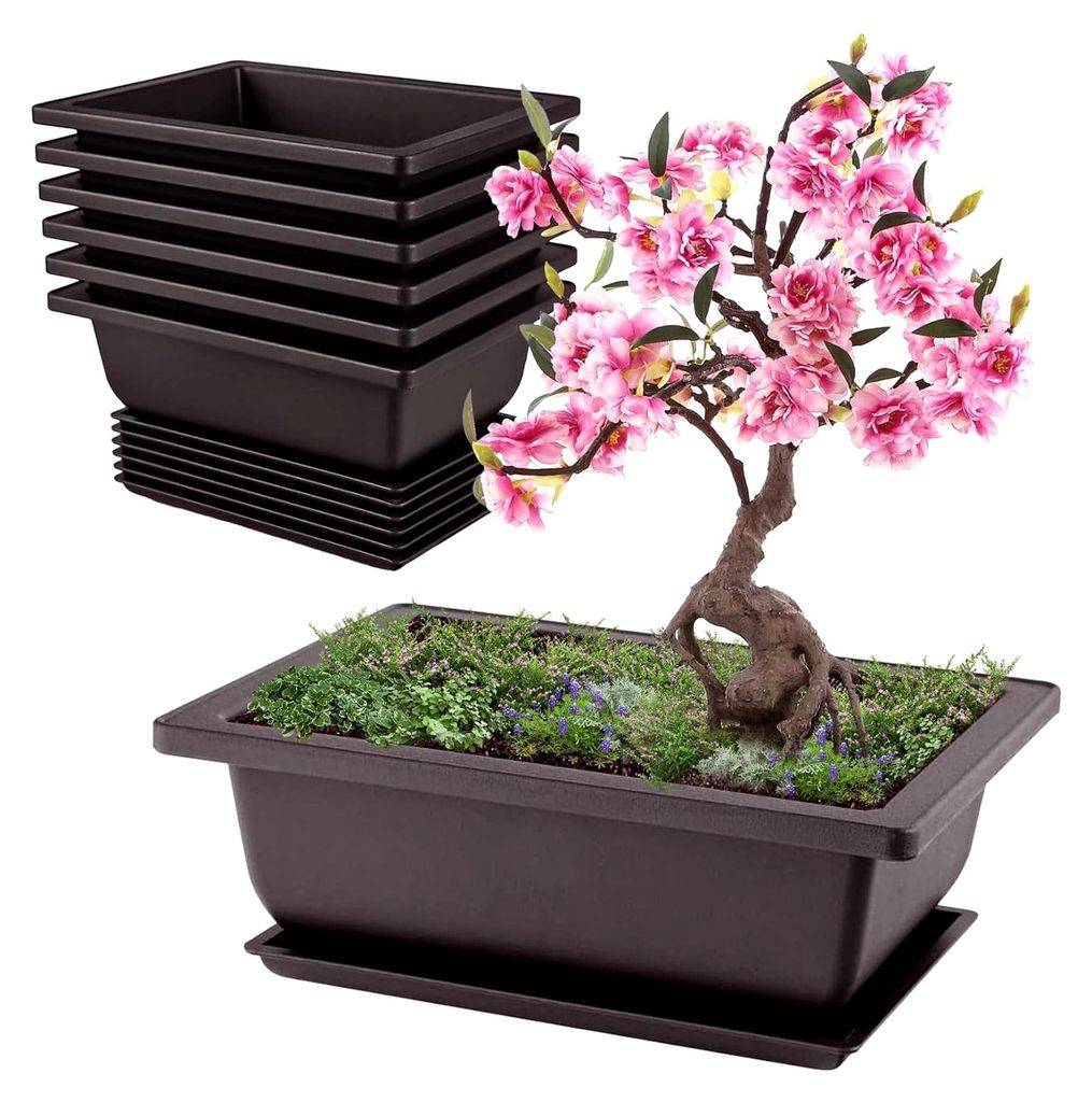 6 Stück Bonsai Schale, Wiederverwendbar Bonsai Topf mit Tabletts, 16.5x12x6cm Bonsaischale für Gärten Terrasse Innenhöfe Büros Wohnzimmer Balkone
