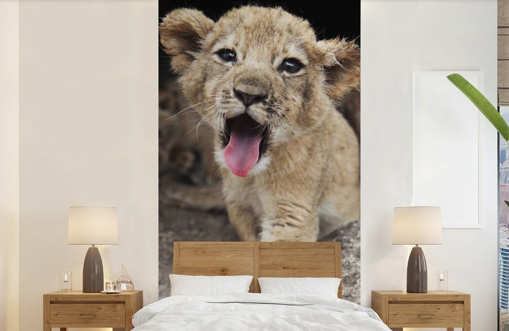 MuchoWow Fototapete für Wohnzimmer oder Schlafzimmer Wandtapete Vinyl Motivtapete Jungtier - Löwen - Niedlich - 120x240 cm - Hintergrundbild