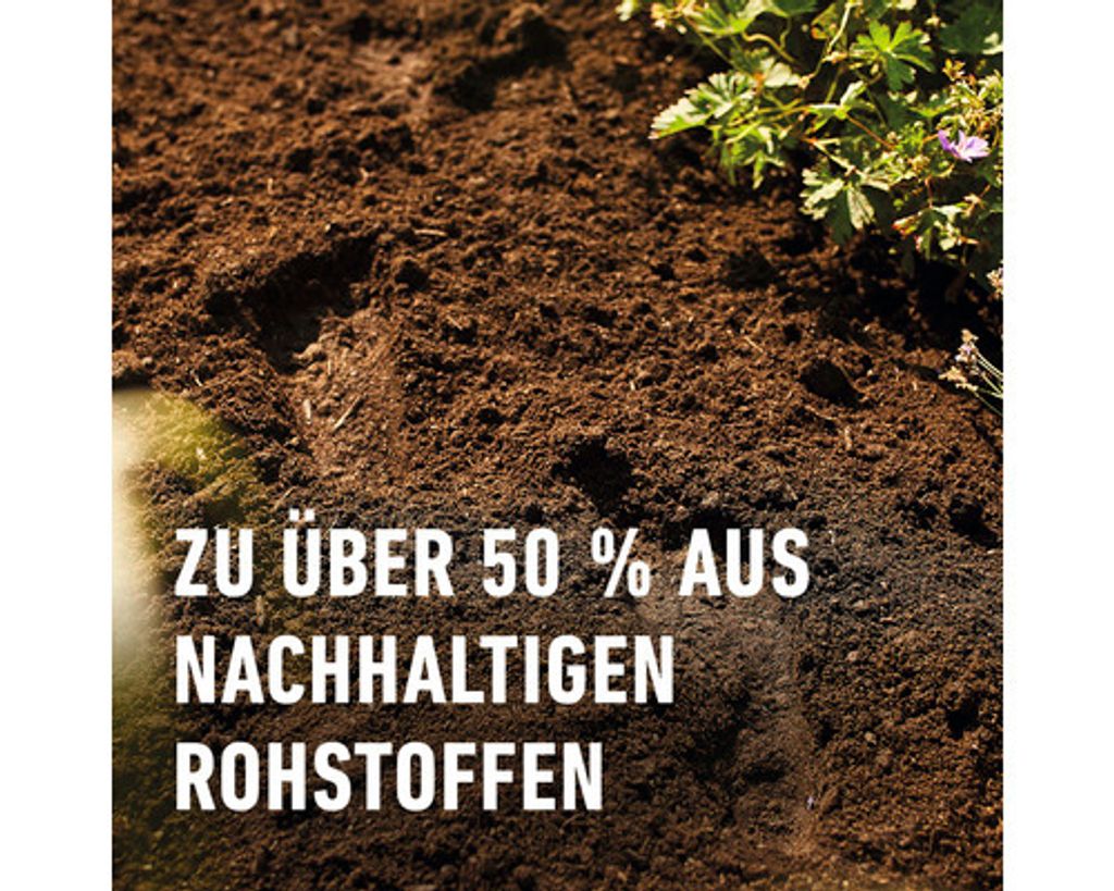 selbstversorger saatgut-box Selbstversorger Saatgut-Box L Bio – Eschenfelder