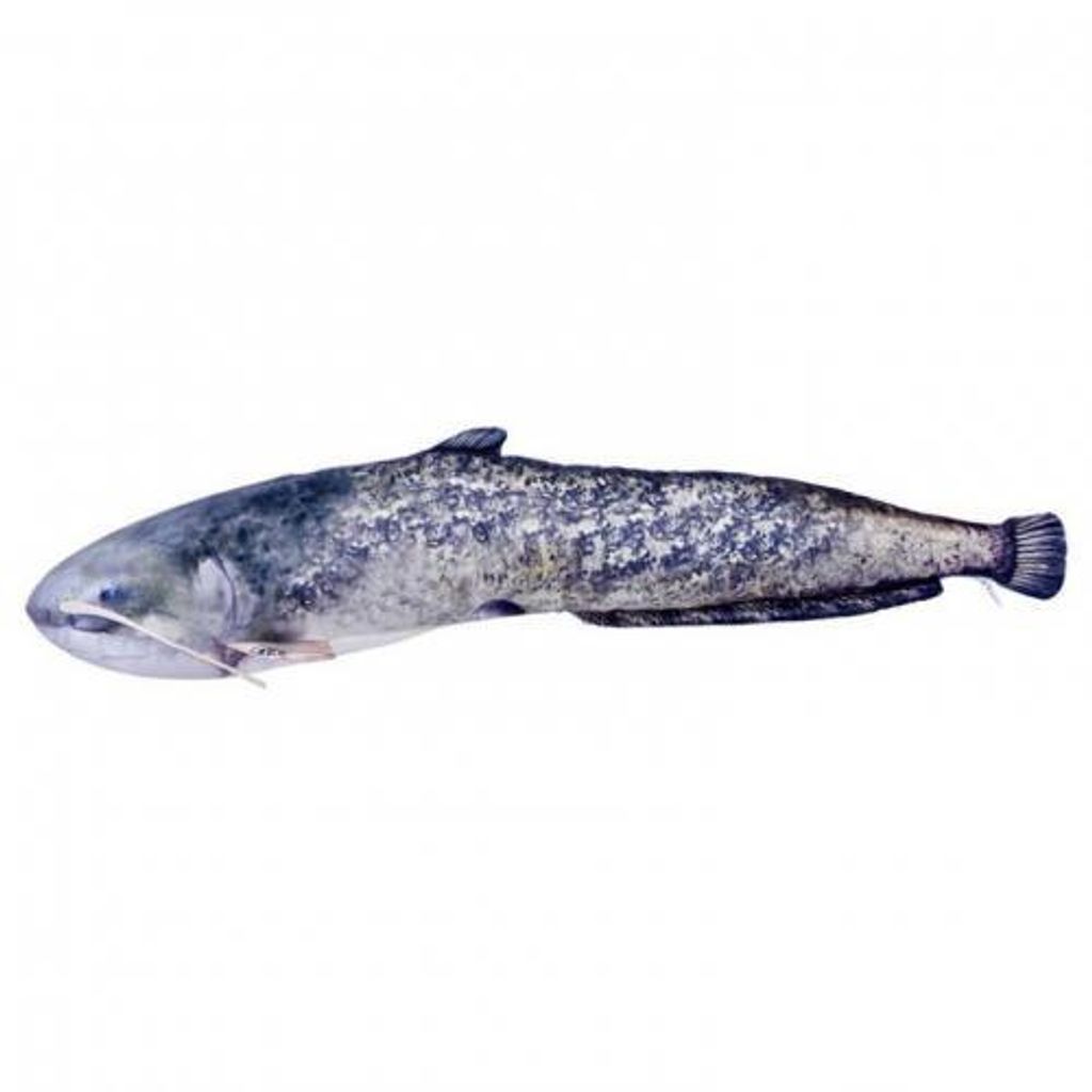 Gaby The Giant Catfish Poduszka Niebieski Niebieski Jeden Zdjęcie produktu 