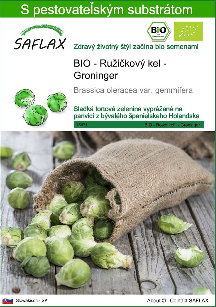 SAFLAX - BIO - Ružičkový kel - Groninger - Brassica Obrázok produktu 