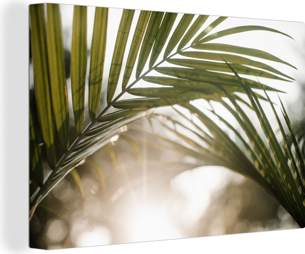OneMillionCanvasses - Leinwandbilder - 140x90 cm, Palme - Palmenblatt - Sonne - Sommer, Wandbilder Kunstdruck Wanddekoration - Foto auf Leinwand ...