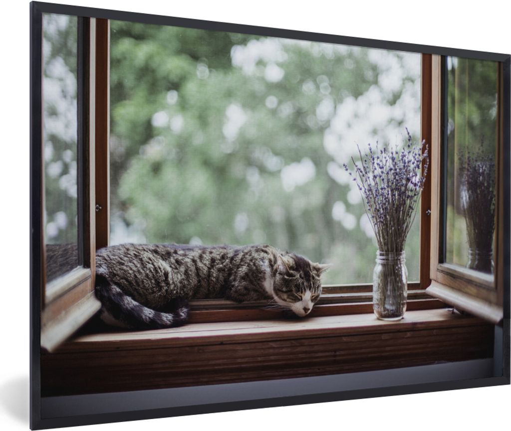 MuchoWow MuchoWow Gerahmtes Poster Zypresse Katze aus dem Fenster 30x20 cm - Poster mit zchwarzem Bilderrahmen - Kunstdruck - Bild-Poster