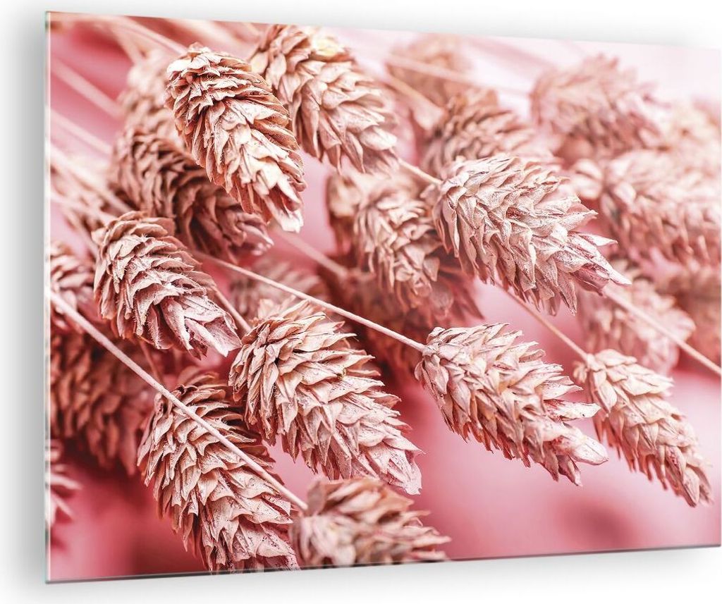 Bilder auf glas - Einteilig - Klinge Gras getrocknet - 70x50cm - Glasbilder - Wandbilder - Bilder - zum Aufhängen bereit - Wanddekoration aus Glas...