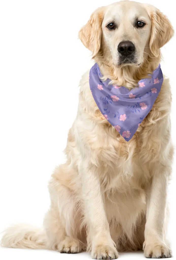 ABAKUHAUS Bandana per animali domestici con fiori, orchidee retrò e grammofono, 55x55 cm, multicolore