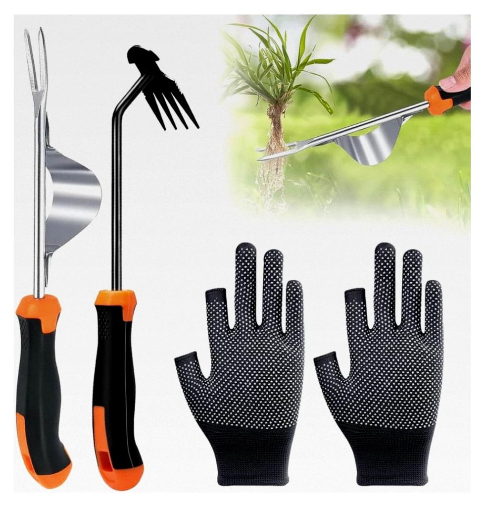 Unkrautstecher aus Edelstahl, 2 Stück, Gartenwerkzeug zum Entfernen von Unkraut, Wurzeljäter mit Griff, Handjätgerät mit Fugenkratzer, manuelle...