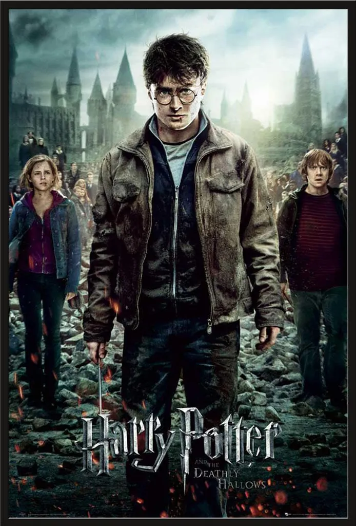 Cadre Harry Potter 7 avec Vitre Acrylique Incassable et Poster Maxi Noir