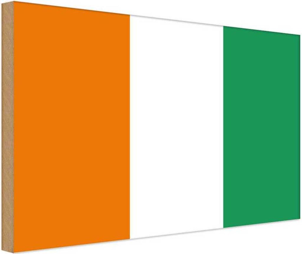 vianmo Holzschild 20x30 cm Elfenbeinküste Ivory Coast Flagge Fahne Wappen