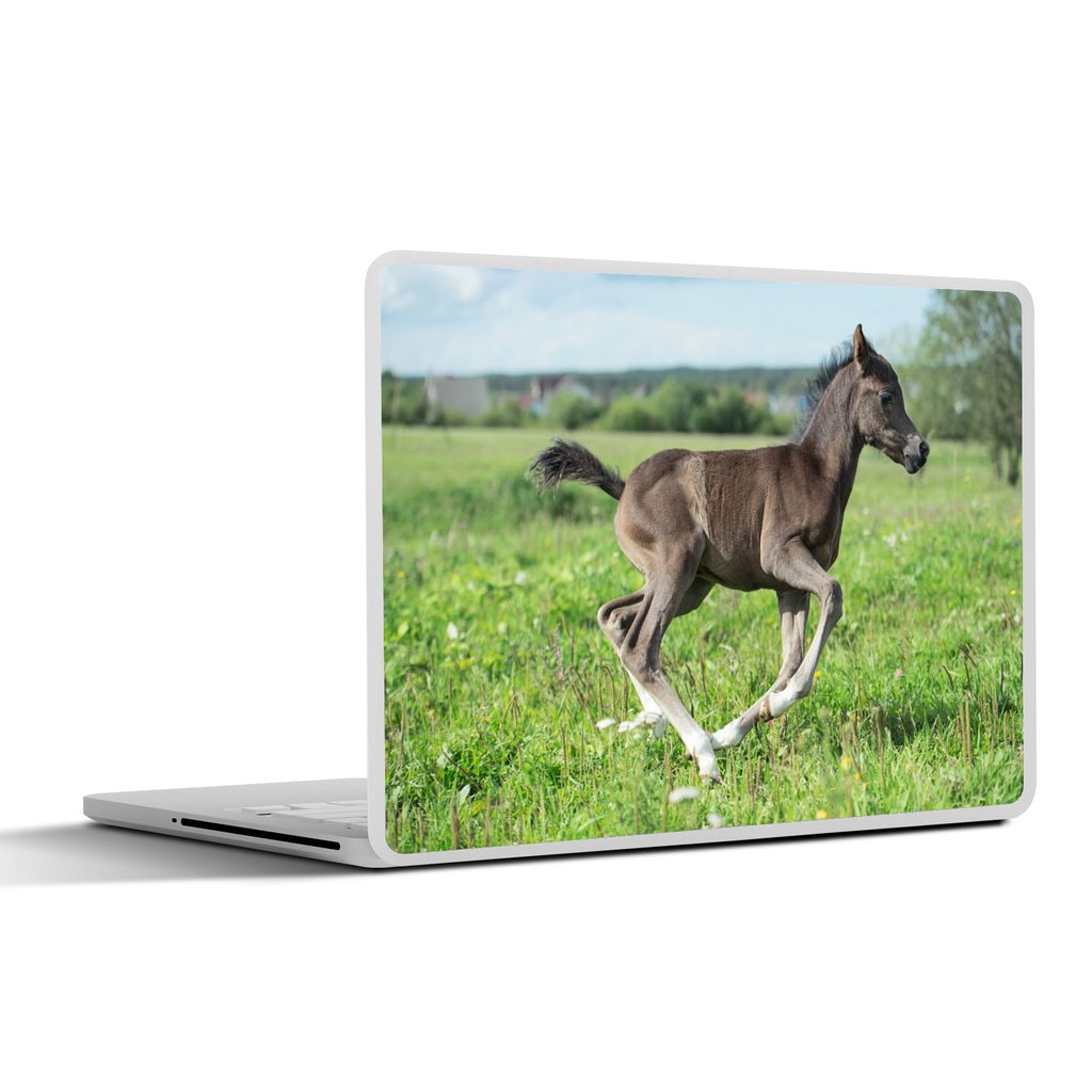 MuchoWow Laptop Aufkleber Sticker Cover Pferd - Blumen - Gras 30x21 cm - Sticker für Laptop - Selbstklebend