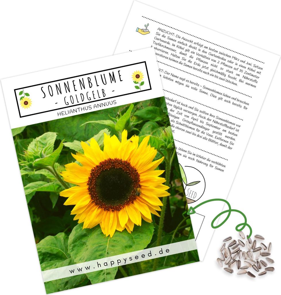Farbenfrohe Sonnenblumen Samen mit hoher Keimrate - Blumensamen für einen bunten & bienenfreundlichen Garten (1x Goldgelb)