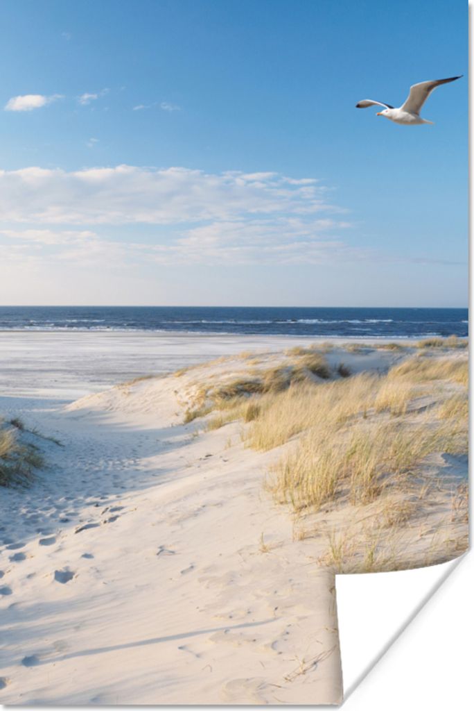 MuchoWow Poster Düne - Möwe - Strand - Meer - Sonne 40x60 cm - Plakate für die Wand - Poster Babyzimmer