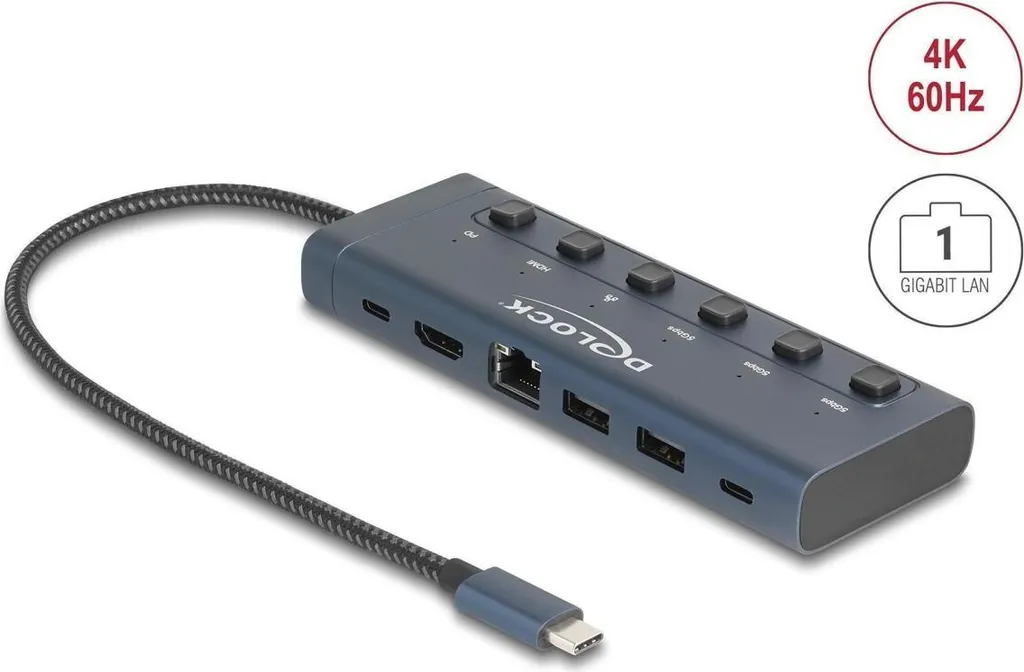 Delock Station d'accueil USB-C 4K HDMI avec LAN et PD 90W 92000