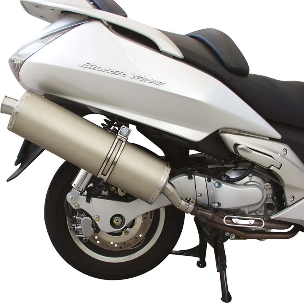 Échappement Malossi MAXI WILD LION pour Scooter - Performance et Homologation