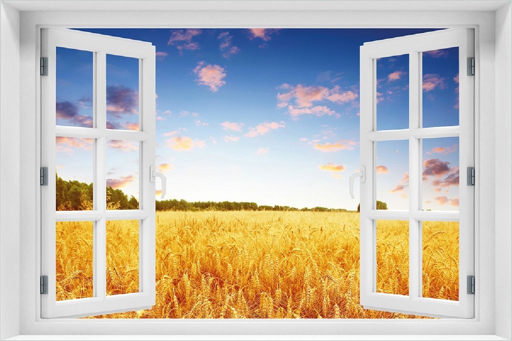 Wallario selbstklebendes Poster mit Fenster-Illusion - Weizenfeld unter blauem Himmel, Größe: 100 x 150 cm