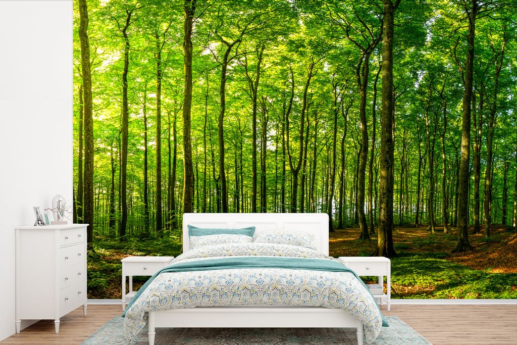 MuchoWow Fototapete für Wohnzimmer oder Schlafzimmer Wandtapete Vinyl Motivtapete Wald - Baum - Pflanzen - 360x240 cm - Vinyl-Tapete