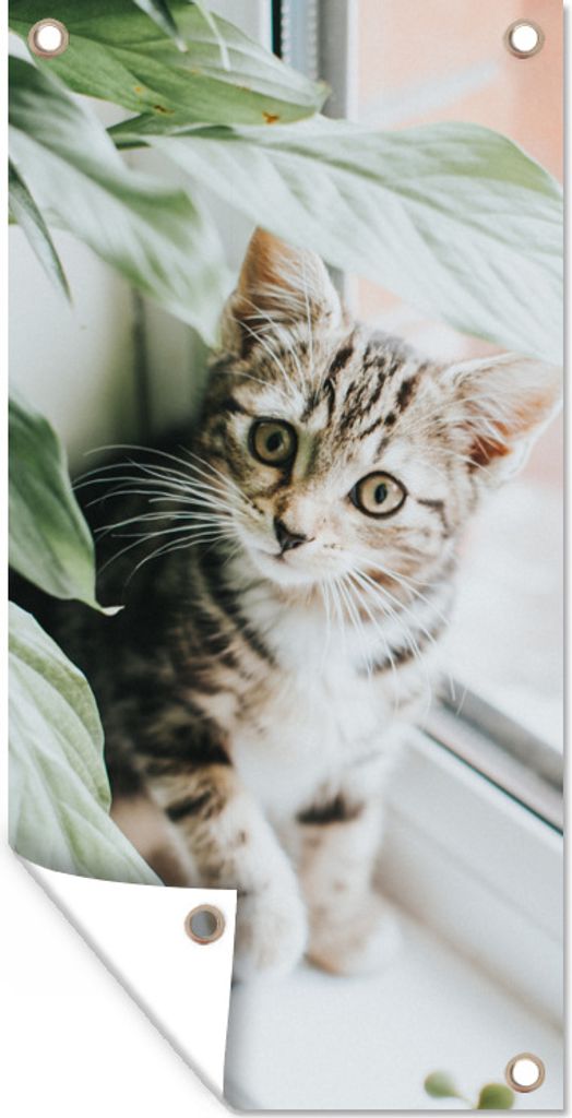 MuchoWow 40x80 cm Outdoor-Poster Gartendeko Sichtschutz Garten Poster für den Garten Katze - Kätzchen - Pflanzen