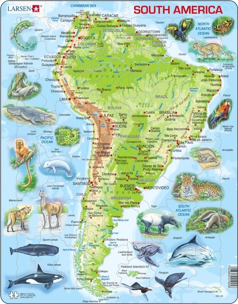 Larsen South America Puzzle - Physics - 65 parts