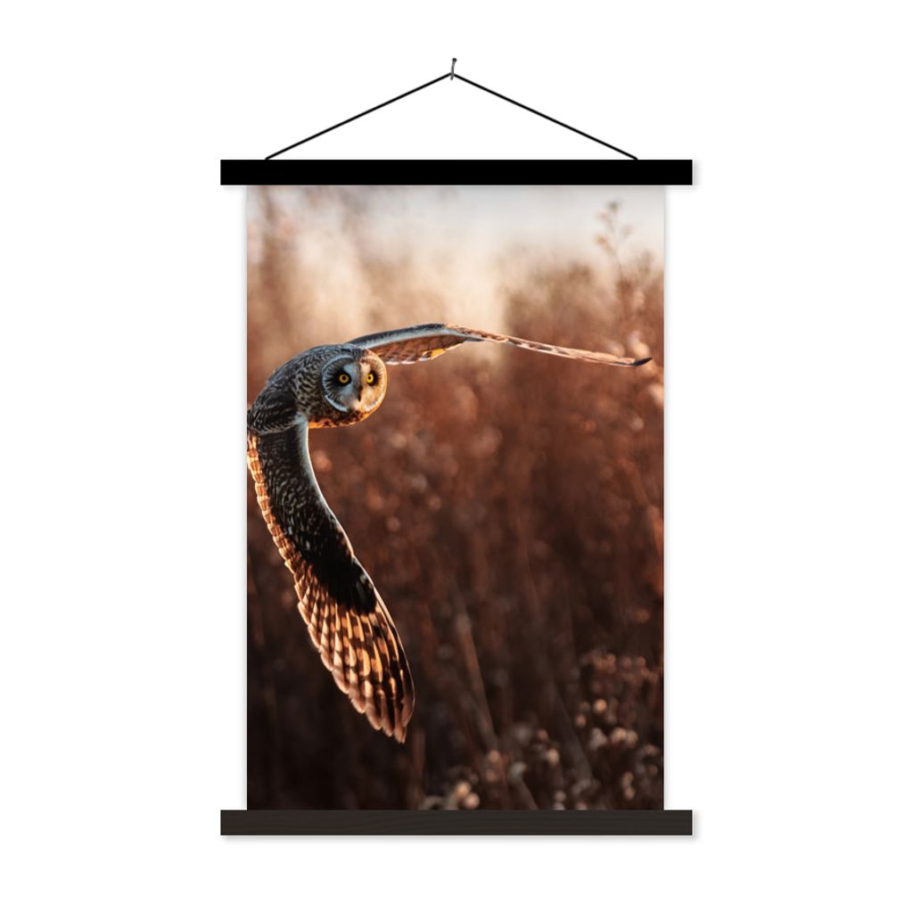 MuchoWow Textilposter Vogel - Eule - Sonnenuntergang - Natur 40x60 cm mit schwarzem Rahmen - Wanddekorationen