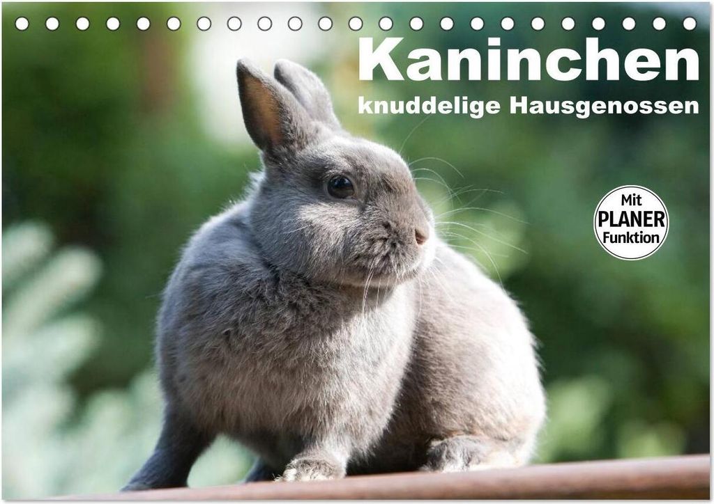 Kaninchen - knuddelige Hausgenossen (Tischkalender 2026 DIN A5 quer), CALVENDO Monatskalender