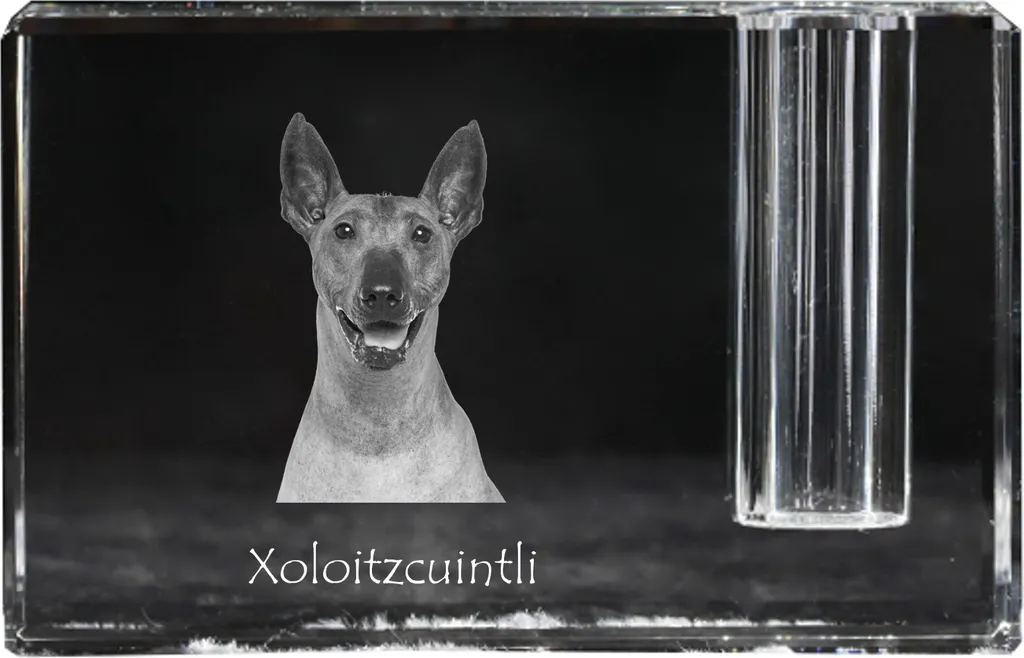 Rangement de bureau cristal Xoloitzcuintle pour éviter le désordre