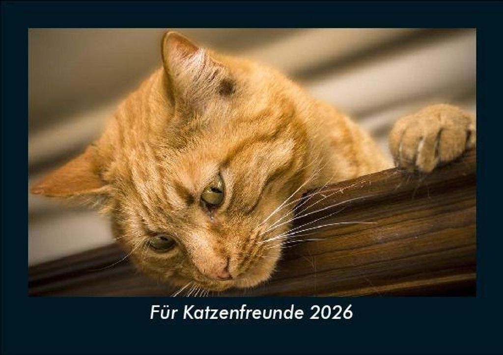 Für Katzenfreunde 2026 Fotokalender DIN A5