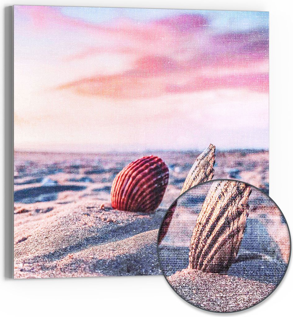 DEQOART Hybrid Leinwand Bild 30x30 cm 'Muscheln im Abendrot' Wandbild Glas flach modern