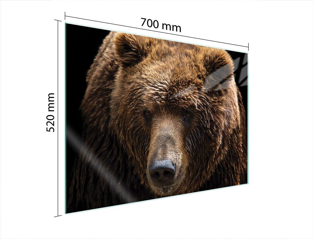 Glasschutzplatte Für Herd 70X52 Teddybär
