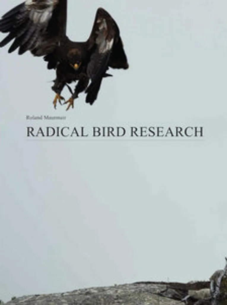 Recherche radicale sur les oiseaux livre ornithologie de collection