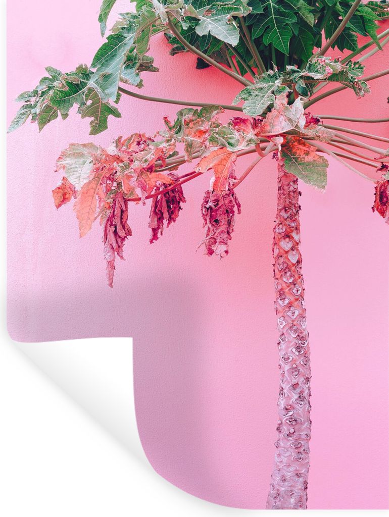 MuchoWow Wandtattoo Wandsticker Wandaufkleber Palme - Tropisch - Rosa - Sommer 90x120 cm Selbstklebend und Repositionierbar - Faltenfrei